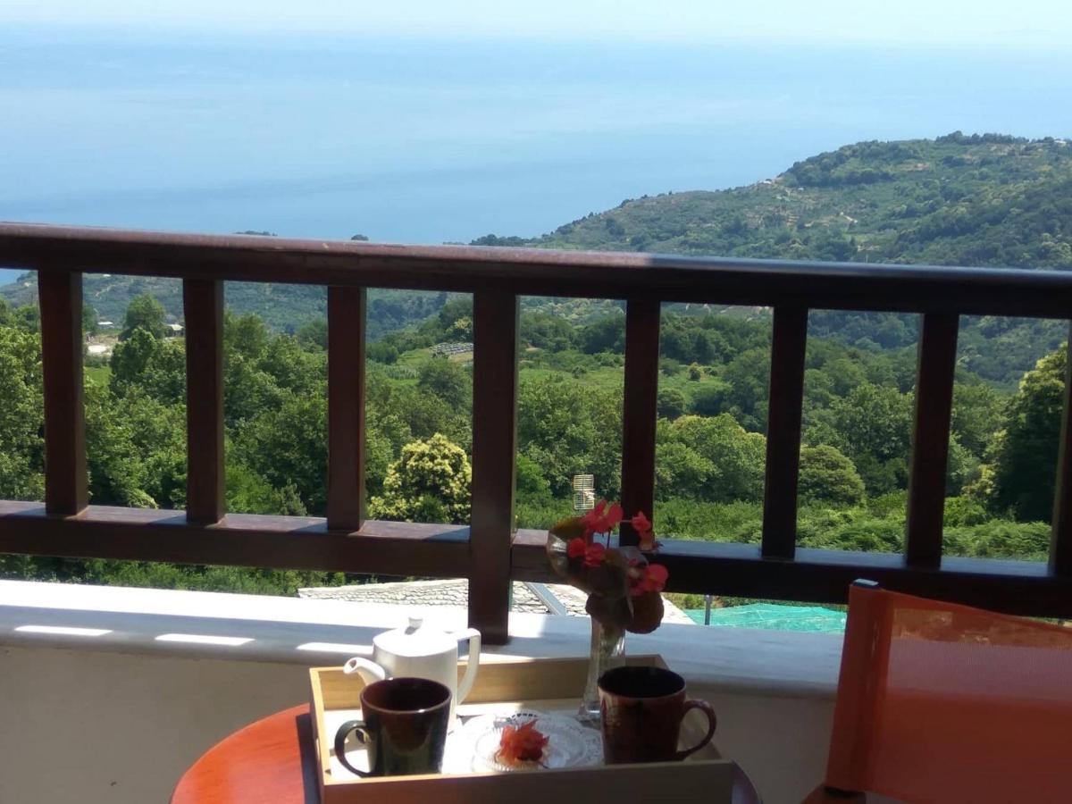 Guesthouse Papagiannopoulou Zagora Exterior photo