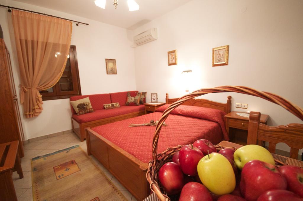 Guesthouse Papagiannopoulou Zagora Room photo